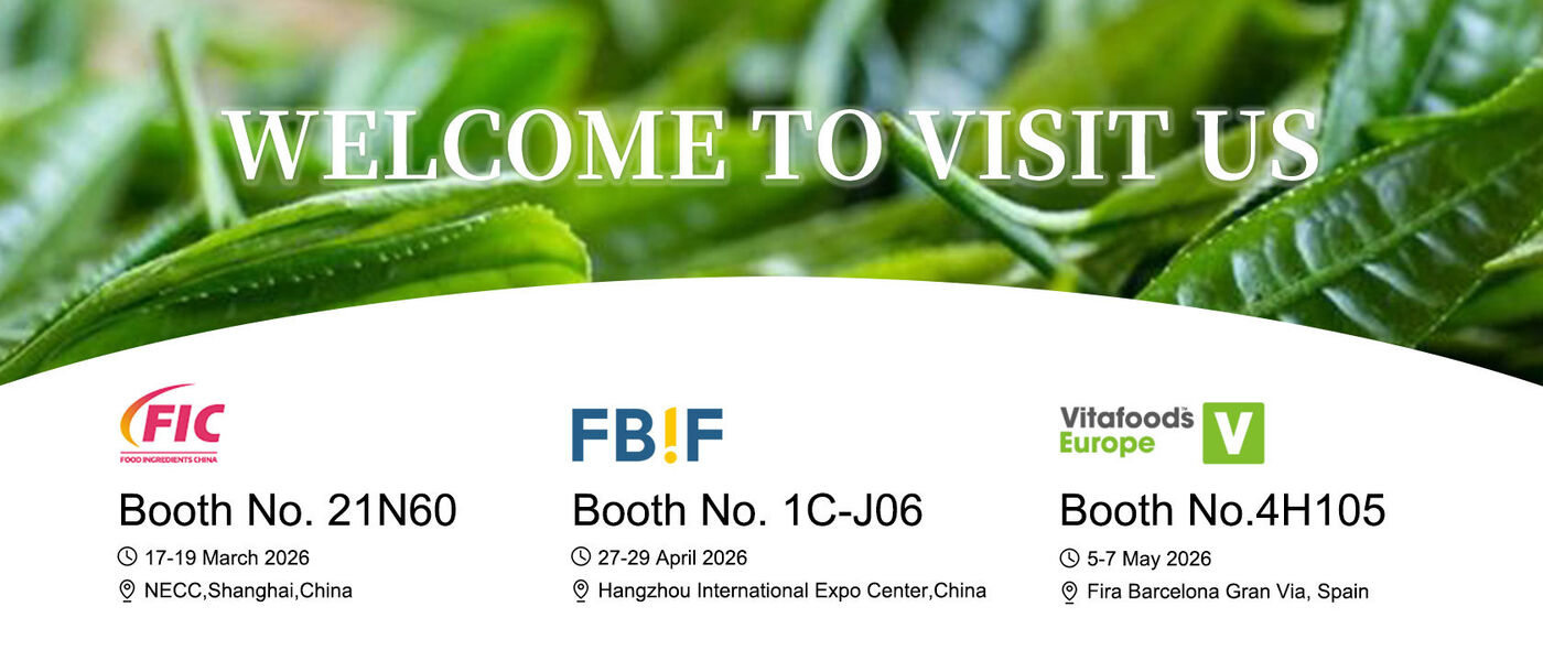 चीन सबसे अच्छा प्रोबायोटिक्स पाउडर बिक्री पर