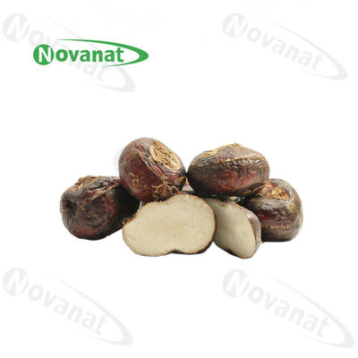 Freeze Dried Water Chestnut ( Skin-On ) / Food Beverage / Clean Label