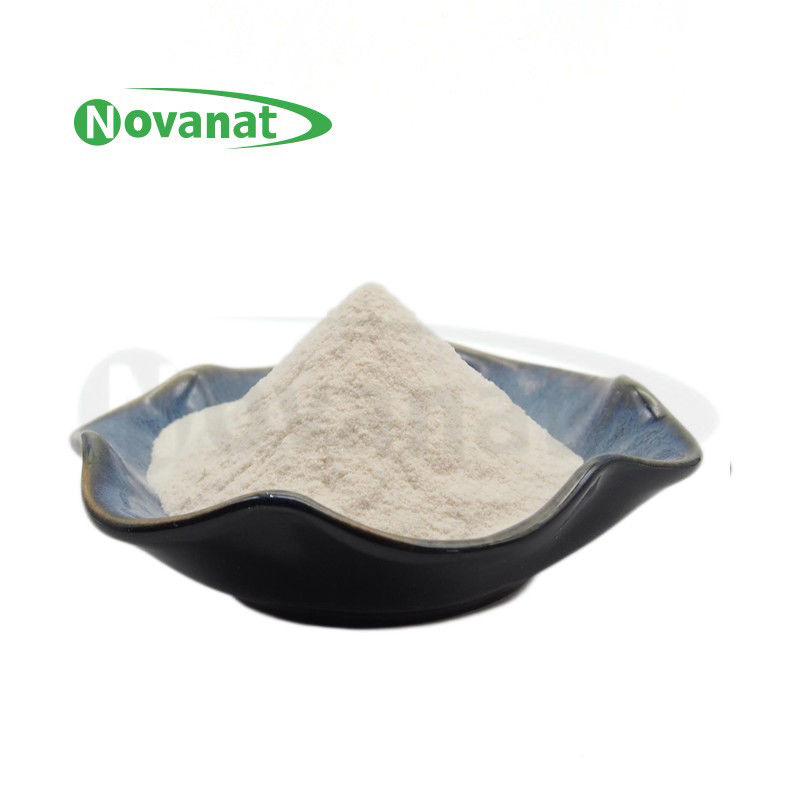 Lactobacillus amylovorus Lam600 50billion CFU/g/Vegan/Allergen Free/Gluten Free/Dairy Free