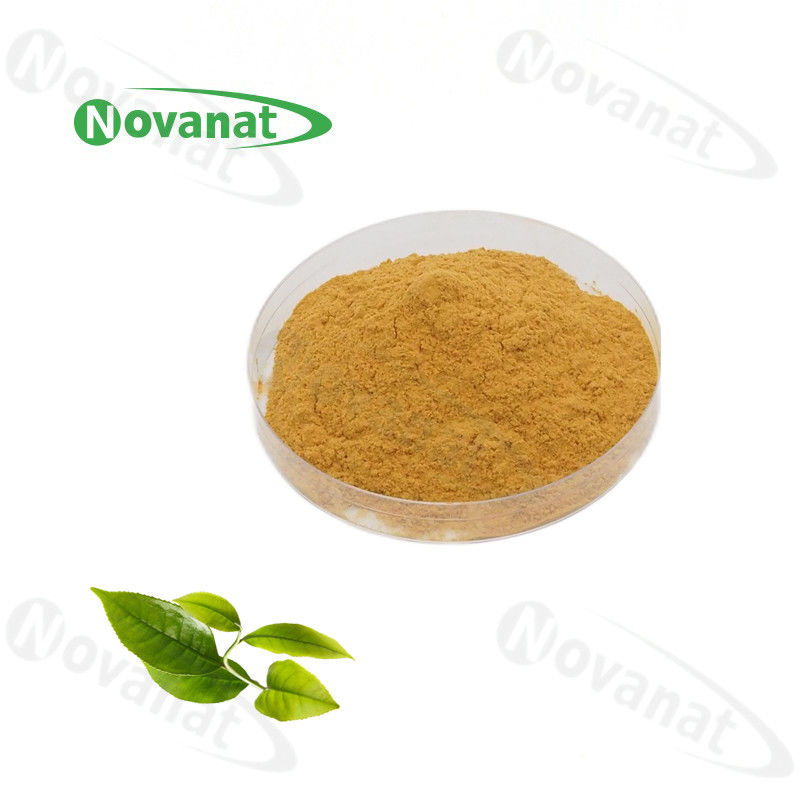 Instant Green Tea Extract Powder 20%-50% Polyphenols/Food&Beverage/Clean Label
