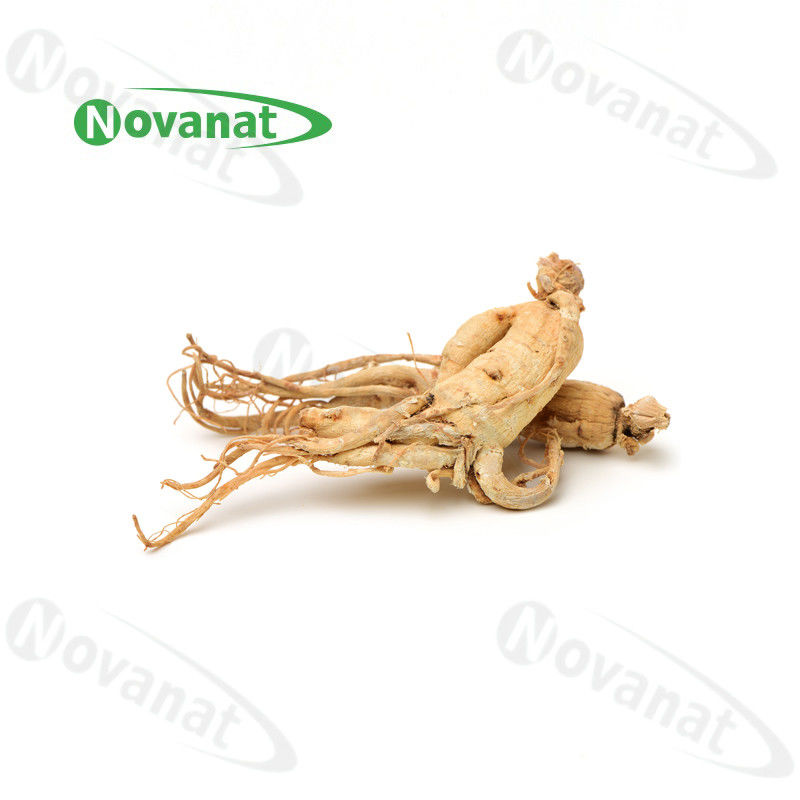 Dry Ginseng Root Organic Dried Herbs Improving immunity / Clean Label