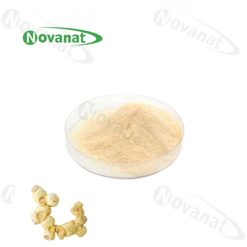 Polygonati Rhizoma Extract 15% Polysaccharides 5% Saponin /Clean Label