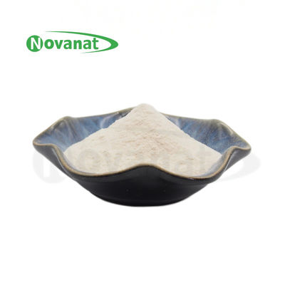 Bifidobacterium Longum Subsp Longum BL88-केवल / शाकाहारी / एलर्जी मुक्त / लस / डेयरी