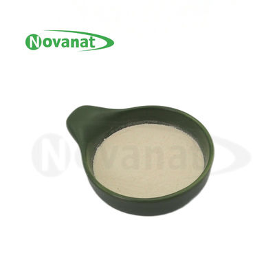 Lactobacillus delbrueckii सबस्प। BULGURICUS LB2/50billion CFU/g/VEGAN/ALLEGEN FREE/GLUUTEN FREE